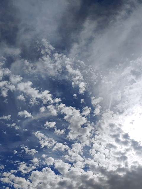 Leaked roxielacy header onlyfans leaked