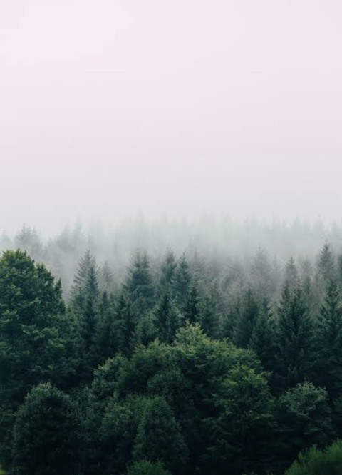 Leaked rubiex header onlyfans leaked