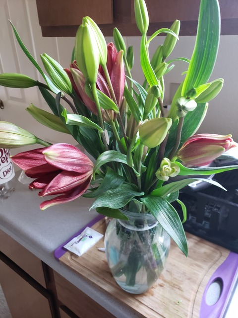 Leaked rubyedwell header onlyfans leaked