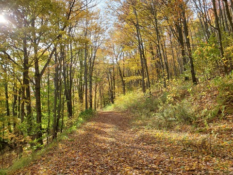 Leaked s4w570o header onlyfans leaked