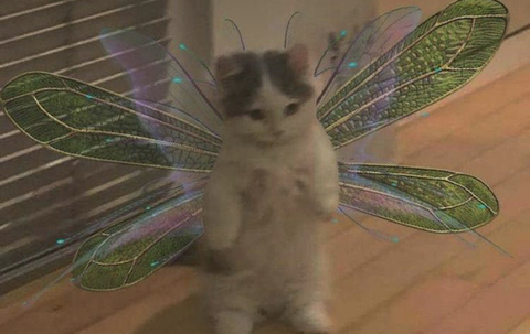 Leaked saagaurora header onlyfans leaked