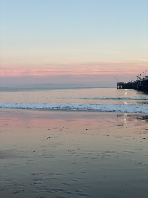 Leaked sacrificed.lamb header onlyfans leaked