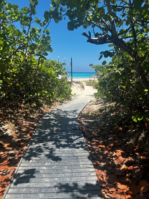 Leaked sadboycnd header onlyfans leaked