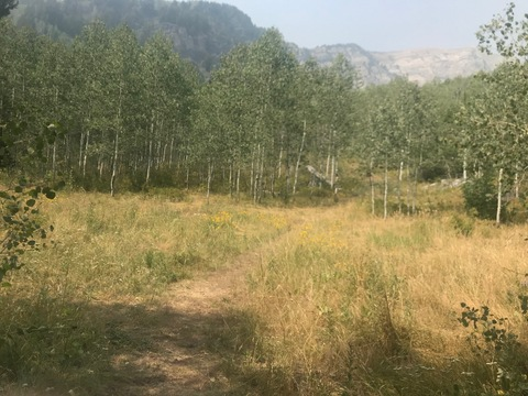 Leaked saguarostatesadist header onlyfans leaked