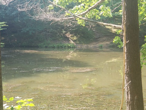 Leaked salty2111 header onlyfans leaked