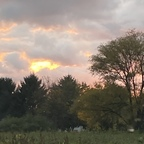 sanative Profile Picture