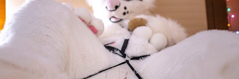 Leaked saoirsemutt header onlyfans leaked