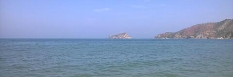 Leaked saratoga header onlyfans leaked