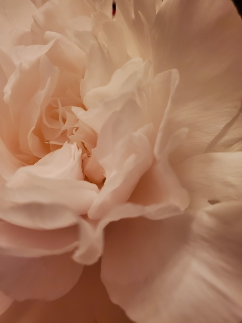 Leaked sassyfrassylassy header onlyfans leaked