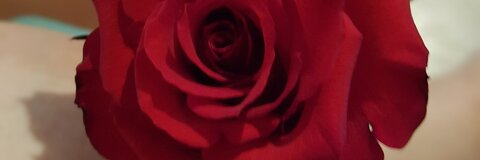 Leaked sassyredbitch77 header onlyfans leaked