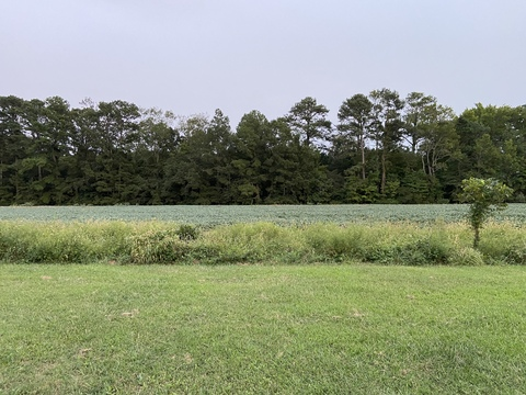 Leaked savasaurusrex header onlyfans leaked