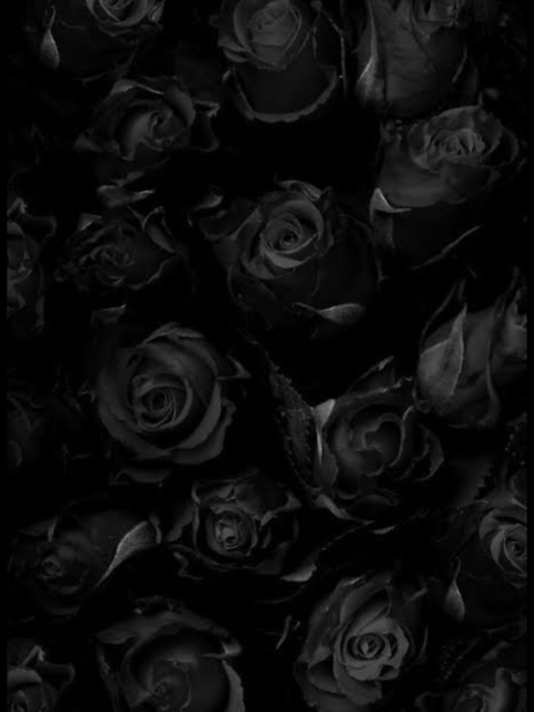 Leaked scarlettfever92 header onlyfans leaked