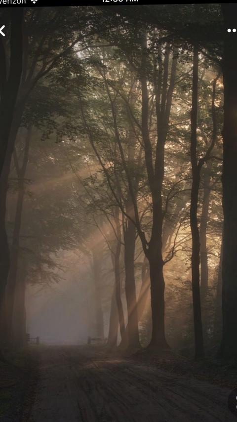 Leaked scatterbrainx header onlyfans leaked