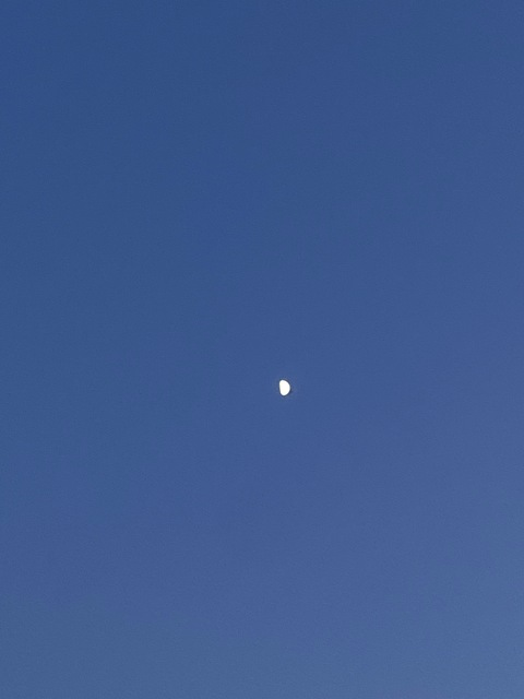 Leaked seaastronauts header onlyfans leaked