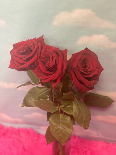 Leaked sensualchick header onlyfans leaked