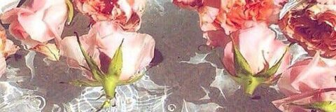 Leaked sensualopalxxx header onlyfans leaked