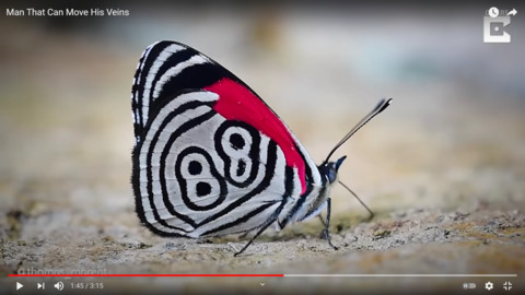 Leaked sexualsavage21 header onlyfans leaked