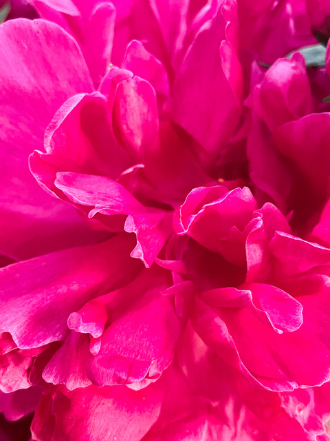 Leaked sexyblue header onlyfans leaked