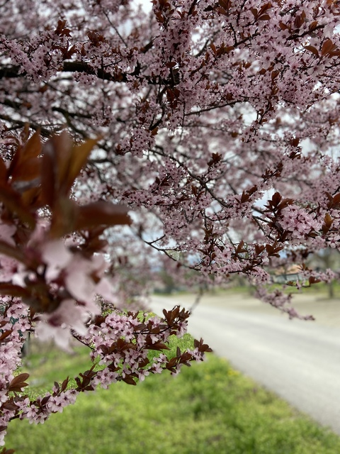 Leaked sexymum1 header onlyfans leaked