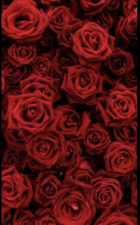 Leaked sexyscarlettgrace header onlyfans leaked