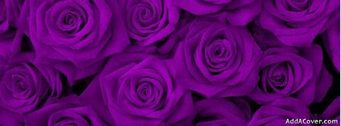 Leaked sexyserenaa header onlyfans leaked