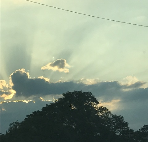 Leaked shanndog98 header onlyfans leaked