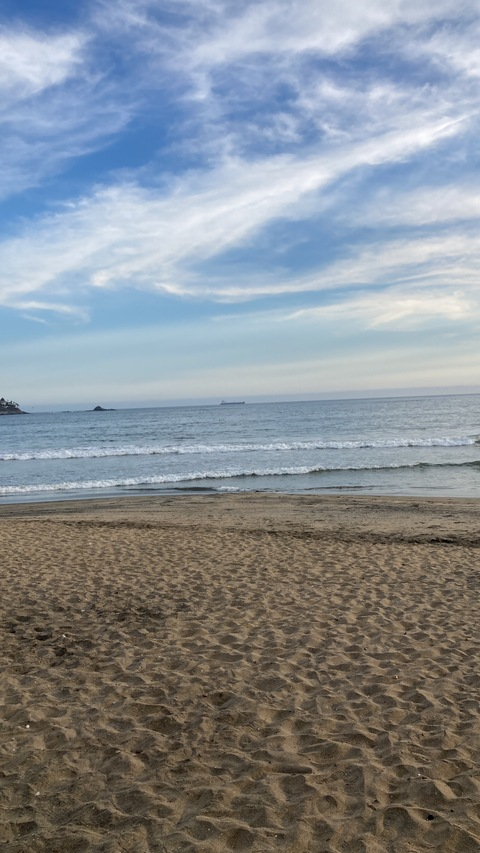 Leaked sharine header onlyfans leaked