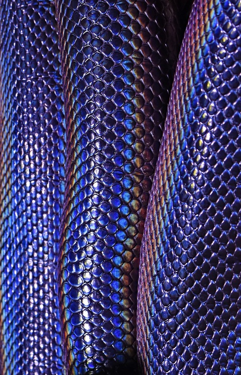 Leaked shayyybeee header onlyfans leaked