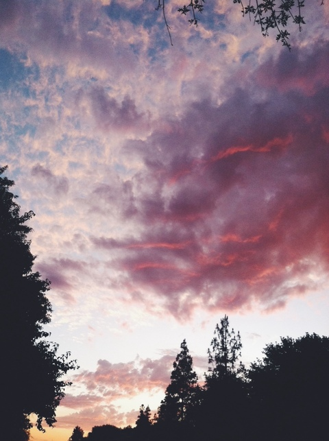 Leaked sheiladiamondd header onlyfans leaked