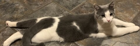 Leaked shortnsweetgal1 header onlyfans leaked