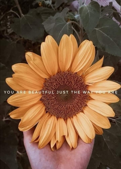 Leaked shorty69.420 header onlyfans leaked