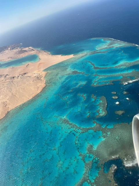 Leaked shved_a header onlyfans leaked