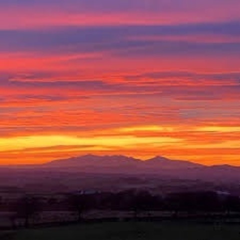 Leaked shyslut4 header onlyfans leaked