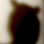 Leaked sir_master onlyfans leaked