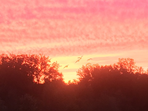 Leaked sir_master header onlyfans leaked