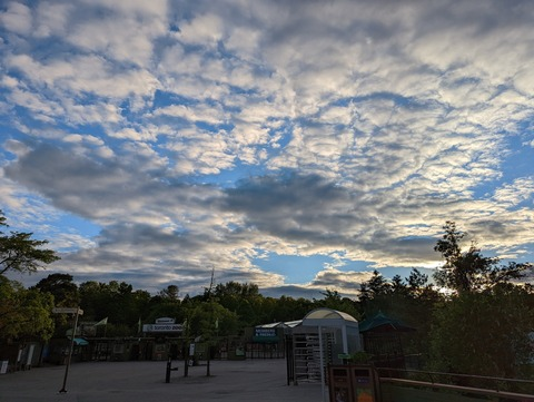 Leaked sir_potato1095 header onlyfans leaked