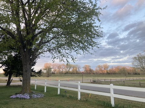 Leaked skankeowlet header onlyfans leaked