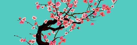 Leaked skonk header onlyfans leaked