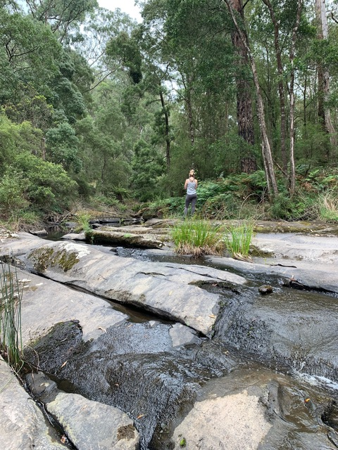 Leaked skylar229 header onlyfans leaked