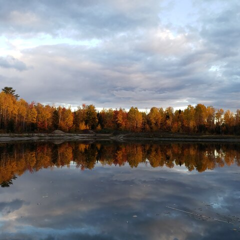 Leaked sluttykitty5 header onlyfans leaked