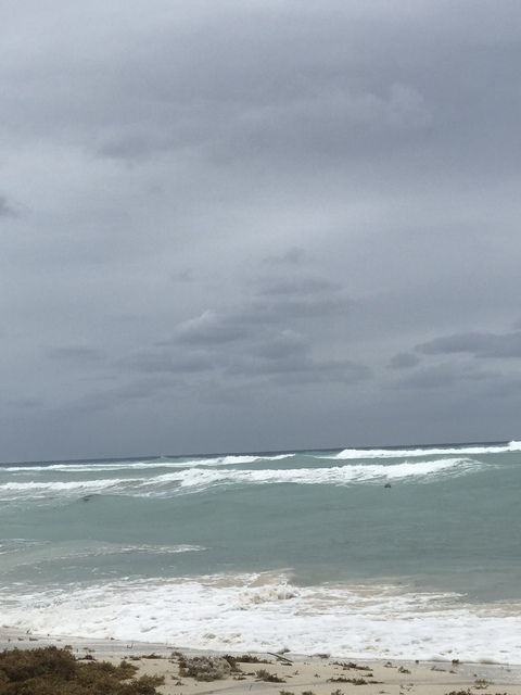 Leaked smithlily5 header onlyfans leaked