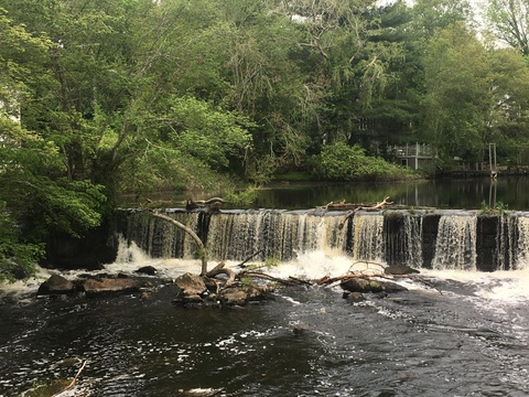 Leaked smokingembers header onlyfans leaked