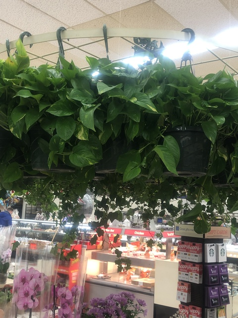 Leaked snicklefritz7 header onlyfans leaked