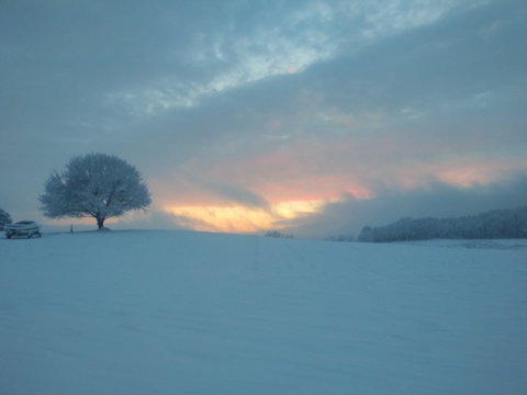 Leaked snobrdr86 header onlyfans leaked