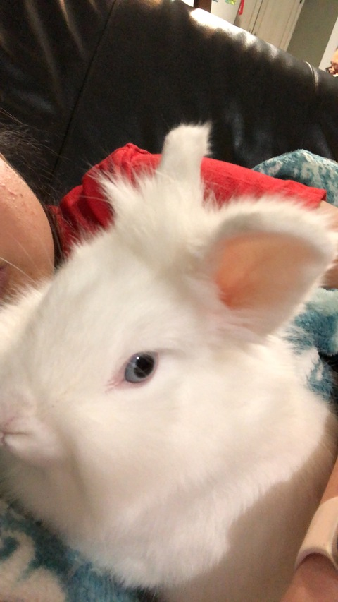 Leaked snowbird22 header onlyfans leaked