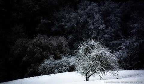 Leaked snowbyte header onlyfans leaked