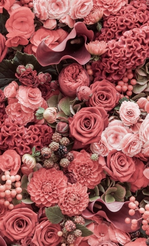 Leaked snowwbunz header onlyfans leaked