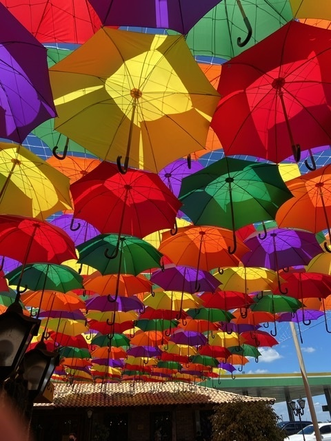 Leaked softcoreyfree header onlyfans leaked