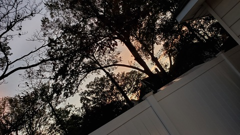 Leaked softdomswitch header onlyfans leaked