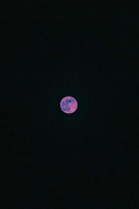 Leaked softshow header onlyfans leaked